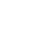cervoty icon