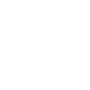cervoty icon